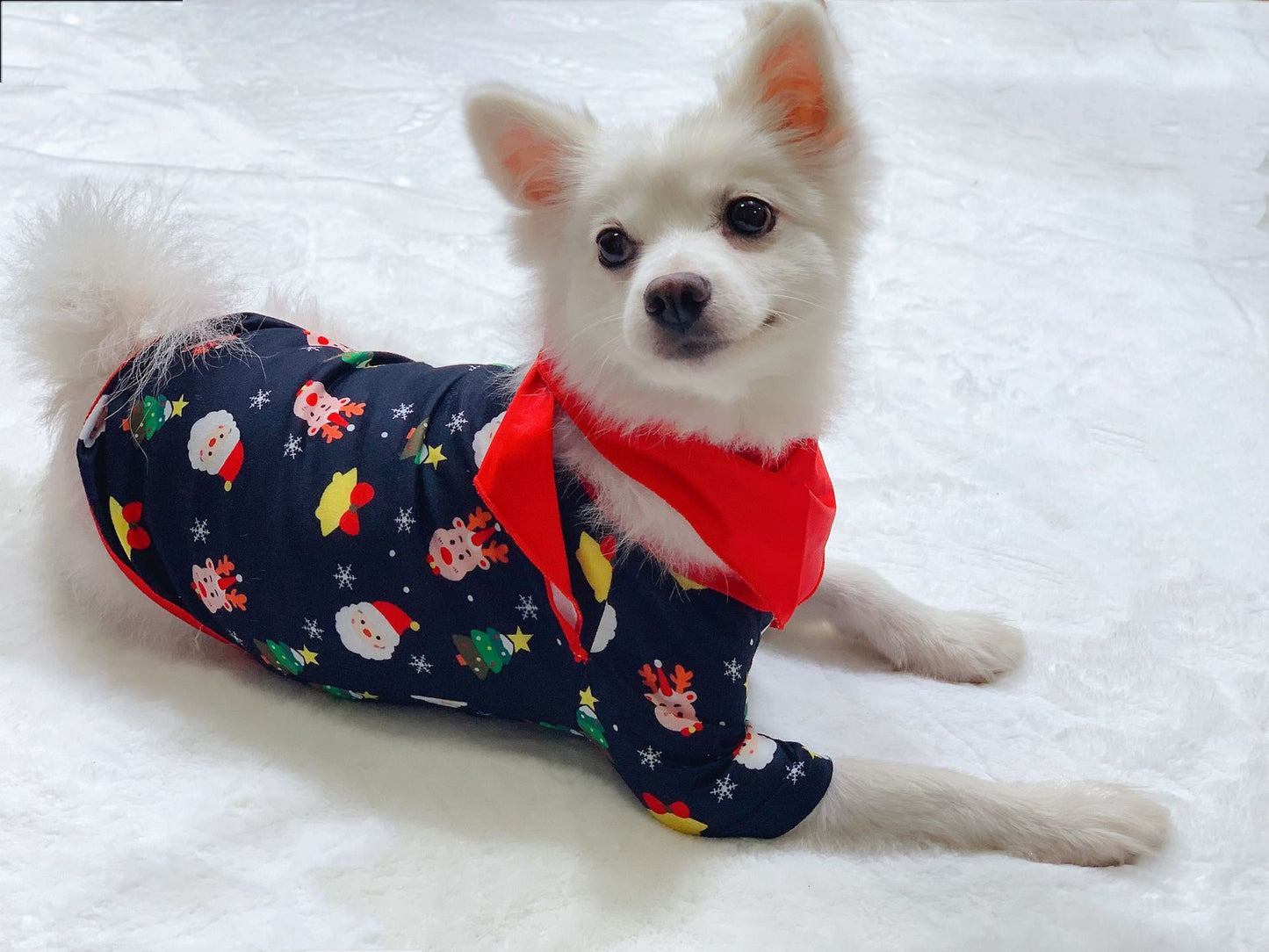 ペット用も選べるファミリーパジャマ クリスマスギフトや撮影にも最適